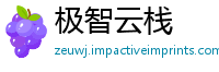 极智云栈